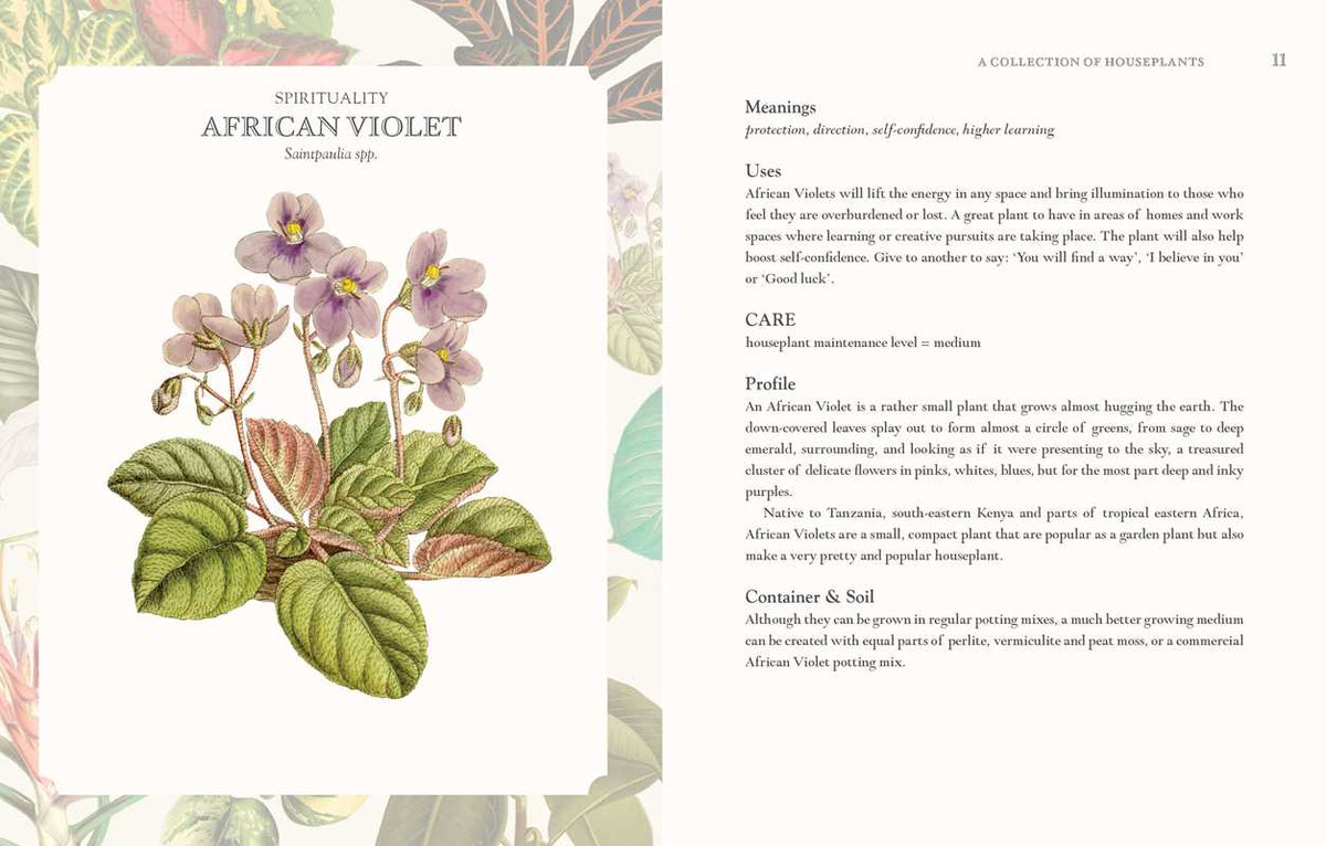 Language of Houseplants by Cheralyn Darcey