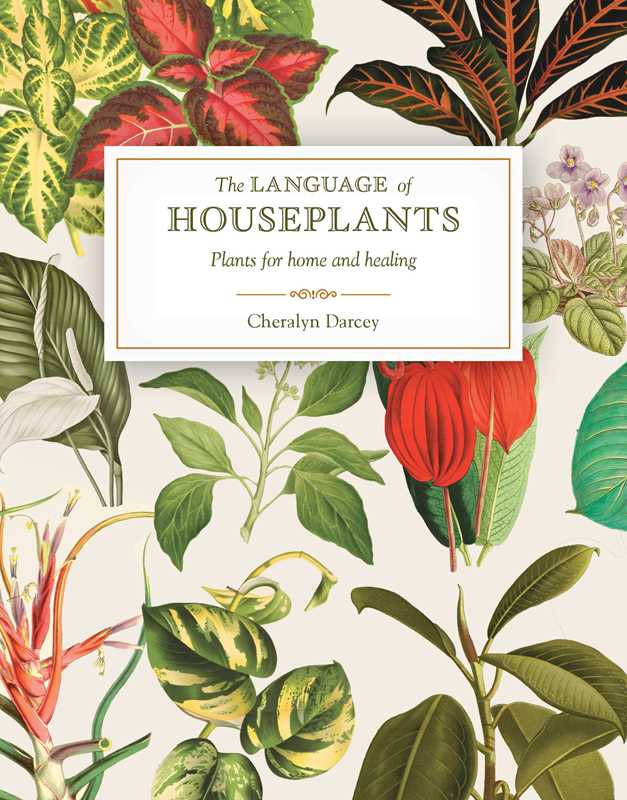 Language of Houseplants by Cheralyn Darcey